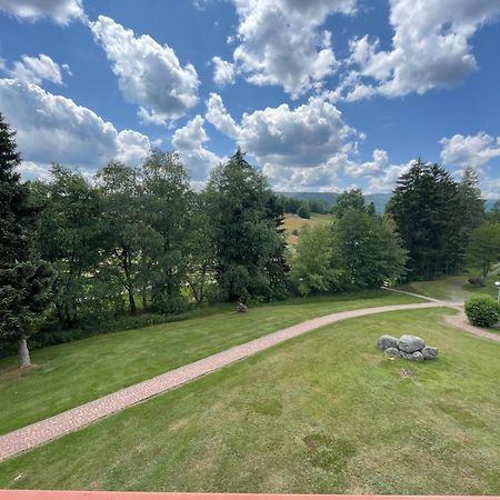 Myschluchseehome Gemuetliche Ferienwohnung Mit Suedbalkon Und Pool Im Haus Экстерьер фото