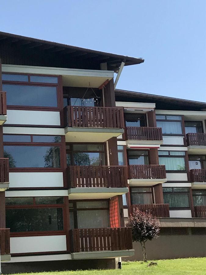 Myschluchseehome Gemuetliche Ferienwohnung Mit Suedbalkon Und Pool Im Haus Экстерьер фото