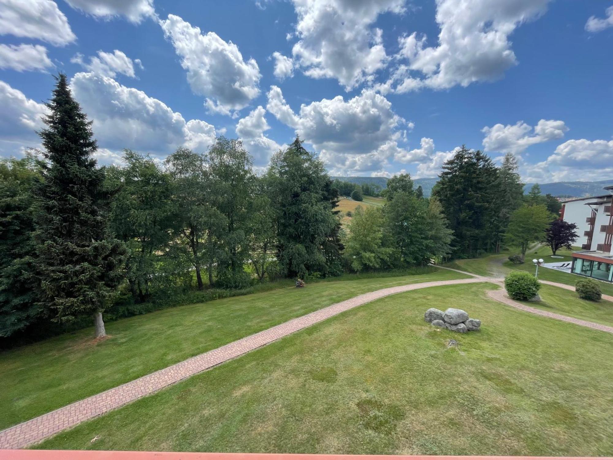 Myschluchseehome Gemuetliche Ferienwohnung Mit Suedbalkon Und Pool Im Haus Экстерьер фото